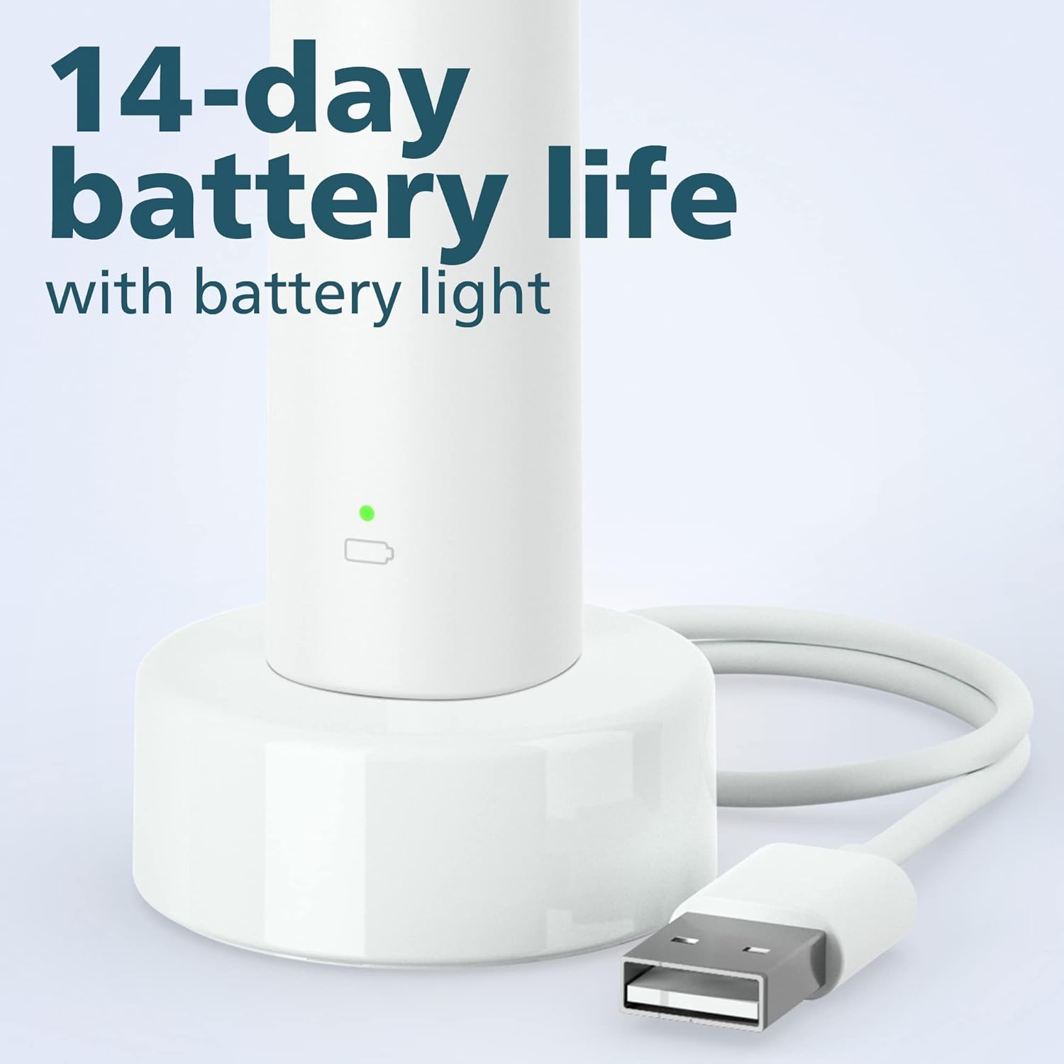 Rechargeable Electric Toothbrush